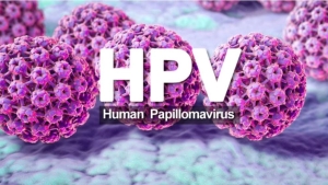 Vius HPV có gây ung thư dương vật không?