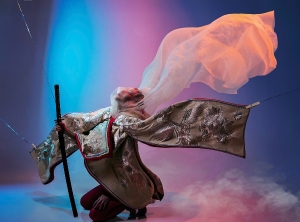 Dương Yến Ngọc làm 