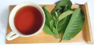 6 lợi ích tuyệt vời từ uống lá ổi