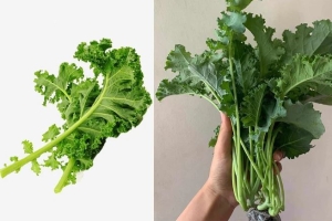 7 loại rau giau canxi hơn cả canh xương