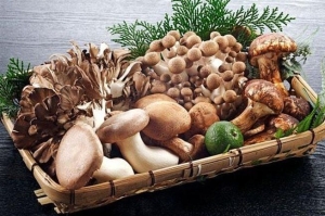 Loại rau củ giá rẻ giúp ức chế khối u ác tính