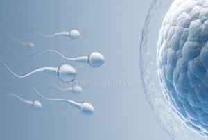 6 thói quen ảnh hưởng xấu đến sức khỏe tinh trùng