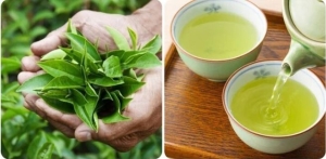 5 loại nước tốt cho thận của bạn