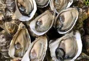 Có phải xuất tinh nhiều gây mất kẽm?