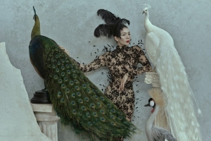 Bộ ảnh mới của ca sĩ Lệ Quyên lấy cảm hứng từ các loài chim