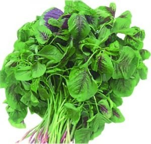 Loại rau giàu canxi thanh nhiệt, giải độc, tăng cường miễn dịch hiệu quả