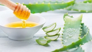 Làm mặt nạ dưỡng da vừa rẻ, vừa đẹp tại nhà: 