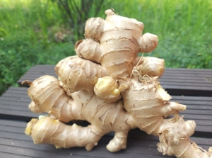 Cách làm tóc mọc nhanh bằng nguyên liệu tự nhiên