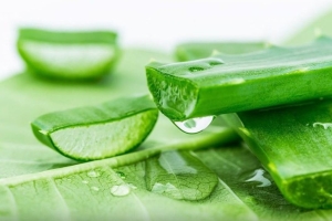 Những lưu ý khi dùng nha đam trong chăm sóc da