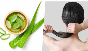 Cách sử dụng lô hội để có làn da sáng và mái tóc khỏe mạnh