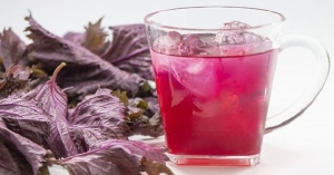 Người tuyệt đối không uống nước lá tía tô