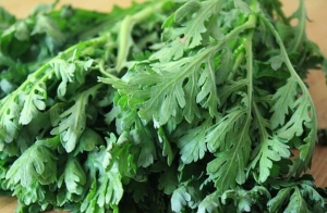 Loại rau giàu dinh dưỡng, thơm ngon, thanh lọc cơ thể 