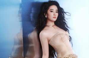 Lưu Diệc Phi chưa kết hôn vì lý do gì?