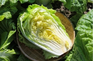 4 loại rau 'vàng' gần như không còn dư lượng thuốc trừ sâu, ăn tốt cho sức khỏe