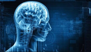 Não điều chỉnh sự cực khoái như thế nào?