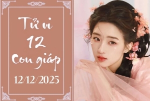 Tử vi ngày 12/12/2025 của 12 con giáp: Hợi tỏa sáng, Dậu gặp khó