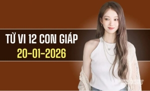 Ngày 20/1/2026: Tử vi 12 con giáp Sửu đón cát khí, Mão gặp quý nhân