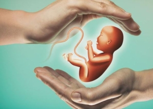 Bất ngờ đến từ lối sống nhiều người thường chủ quan 4 nguyên nhân vô sinh không do bệnh lý