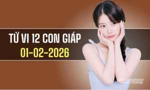 Ngày 1/2/2026: Tử vi 12 con giáp Tuổi Tuất may mắn, Mùi căng thẳng