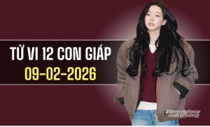 Ngày 9/2/2026: Tử vi 12 con giáp Tuổi Dần bản lĩnh, Sửu khởi sắc
