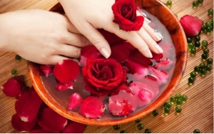 Hoa hồng – “bí quyết làm đẹp vượt thời gian”