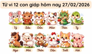 Hôm nay 27/02/2026: Tử vi 12 con giáp Tuổi Ngọ thăng hoa sự nghiệp, Tuổi Tỵ tình cảm đều thuận lợi
