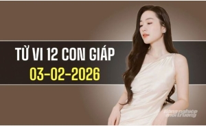 Ngày 3/2/2026: Tử vi 12 con giáp Tuổi Tý hanh thông, Sửu cần trọng lời nói