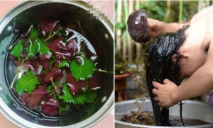 Tham khảo một loại lá sẵn có là bí quyết kích thích mọc tóc con khi bị rụng tóc nhiều