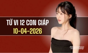 Ngày 10/4/2026: tử vi 12 con giáp tuổi Mão vượng phát, Tuất ổn định