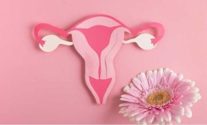 Bạn có sẵn sàng chi trả cho xét nghiệm sàng lọc ung thư cổ tử cung