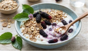 Quả dâu tằm cùng 4 tác dụng làm chậm lão hóa