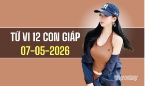 Ngày 7/5/2026: tử vi 12 con giáp tuổi Mùi gặp khó, Tuất được quý nhân giúp