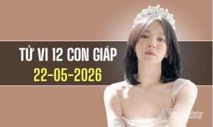 Ngày 22/5/2026: Tử vi 12 con giáp Ngọ, Thân, Hợi khá thuận lợi