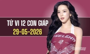 Ngày 29/5/2026: Tử vi 12 con giáp Mùi, Hợi đón sự nghiệp tiến triển