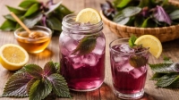 Những loại bệnh không nên uống nước lá tía tô