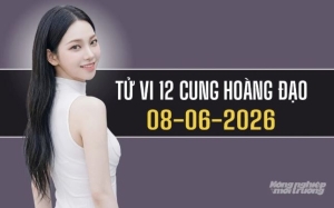 Tử vi hôm nay 12 cung hoàng đạo (8/6/2026)