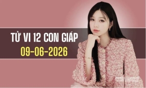 Tử vi 12 con giáp ngày 9/6/2026: Mão đón cơ hội mới, Dậu tài lộc khởi sắc