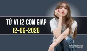 Tử vi 12 con giáp 12/6/2026: Tý gặp may mắn, Dần đón cơ hội bứt phá