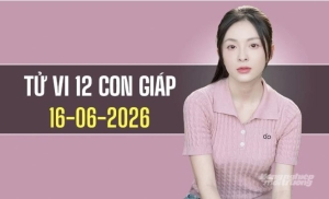 Tử vi 12 con giáp 16/6/2026: Dần gặp vận may, Thân được quý nhân nâng đỡ