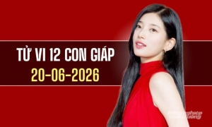 Tử vi 12 con giáp hôm nay 20/6/2026: Tý thuận lợi, Mùi đón may mắn