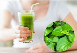 Rau diếp cá có thực sự giúp làm đẹp da