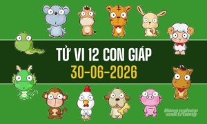 ử vi 12 con giáp hôm nay 30/6/2026: Sửu đón may mắn, Thân khởi sắc