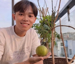 Hồ Văn Cường mua nhà tại TPHCM biến sân thượng thành vườn rau xanh mát