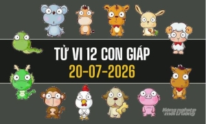 Tử vi 12 con giáp hôm nay 20/7/2026: Mão thuận lợi, Ngọ nhiều cơ hội