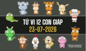 Tử vi 12 con giáp hôm nay 23/7/2026: Dần, Thìn đón may mắn, Mão, Dậu cần thận trọng