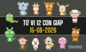 Tử vi 12 con giáp hôm nay 15/8/2026: Cơ hội rộng mở, tài lộc khởi sắc