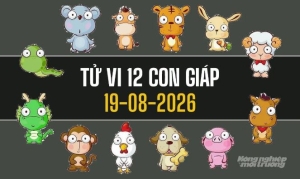 Tử vi 12 con giáp hôm nay 19/8/2026: Tuất tài lộc khởi sắc, Thìn cần thận trọng
