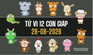 Tử vi 12 con giáp hôm nay 28/8/2026: Mão công danh rạng rỡ, Thìn tài lộc rộng mở