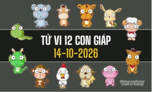 Tử vi 12 con giáp hôm nay 14/10/2026: Mùi đón vận may, Tý cần kiểm soát cảm xúc