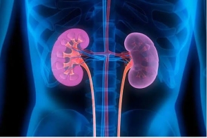 Nam giới mắc phải 3 thói quen nhiều âm thầm gây hại cho thận